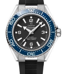 Omega
Seamaster Planet Ocean 600M